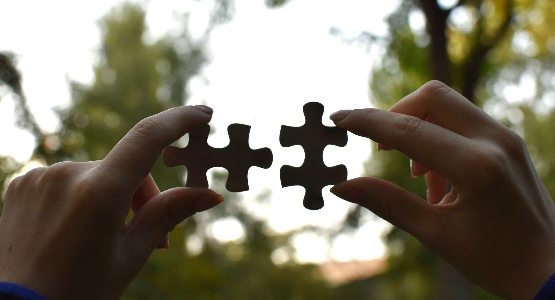 certificate-partnership.jpg