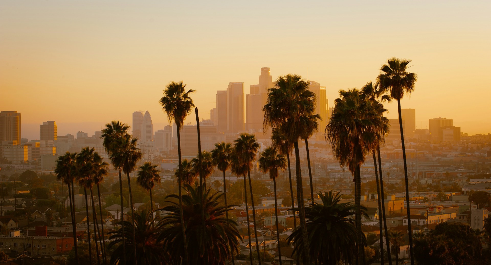 Los Angeles City Immersion